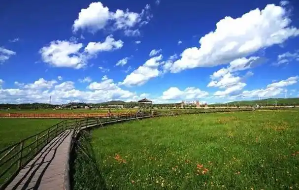 五花草甸风景区:坝上最美花海