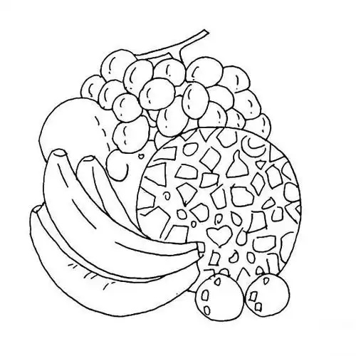 幼儿简笔画入门水果画法图片_水果简笔画_亲子简笔画大全