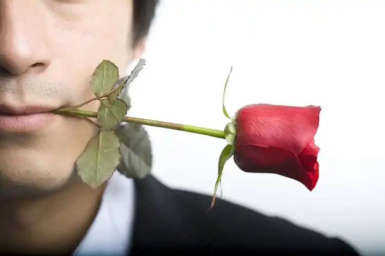 正面,爱情,幸福,纯洁,热情,玫瑰,礼物,情人节,一根,握,套装,玫瑰花