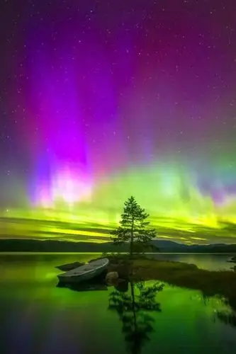 看到不灭的星光和最美的极光.