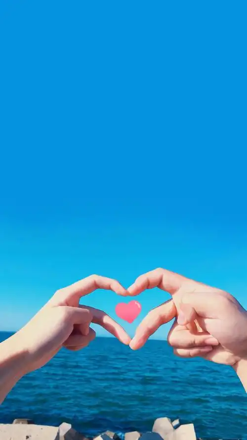 情侣爱心手势一人一半