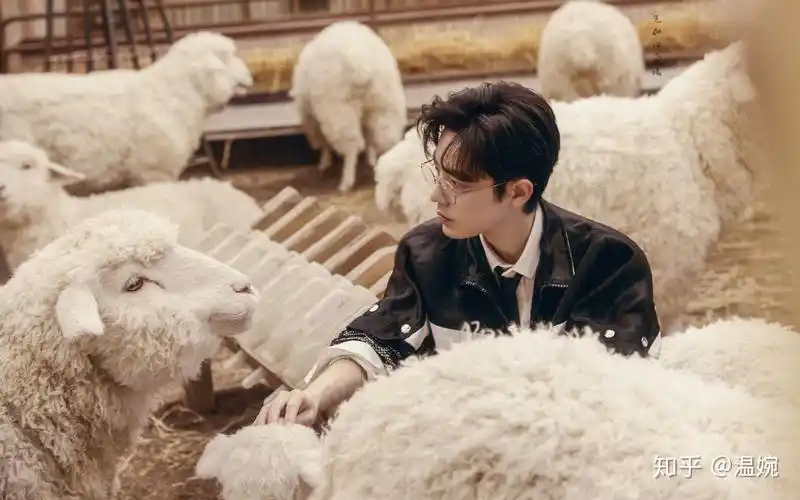 有没有肖战的高清图片可以当壁纸的那种照片