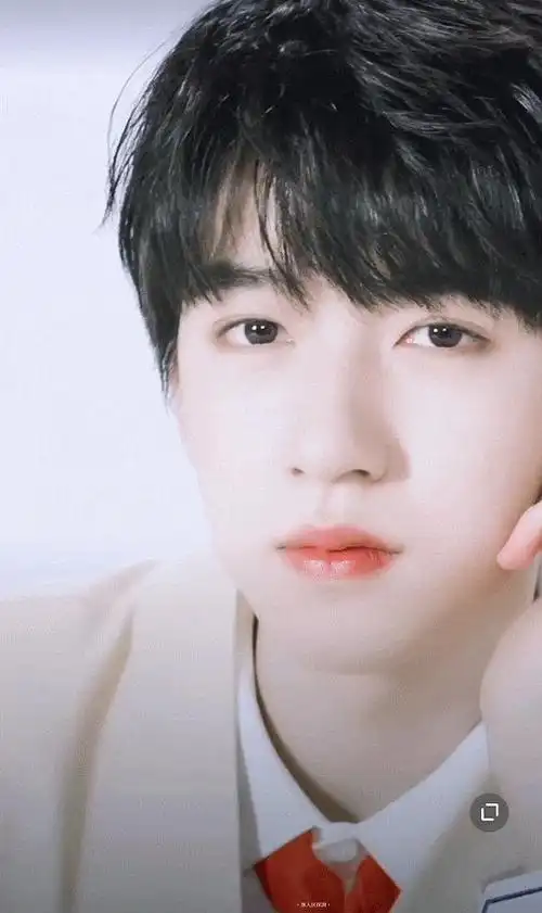 贺峻霖桃花眼科普