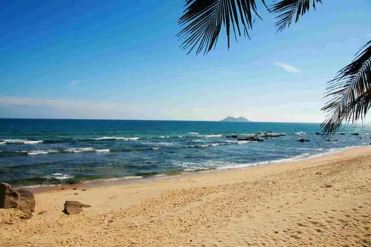 来自广东粤西的呐喊!