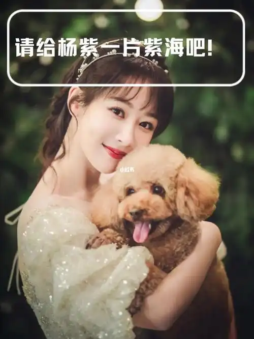 请给杨紫一片紫海吧