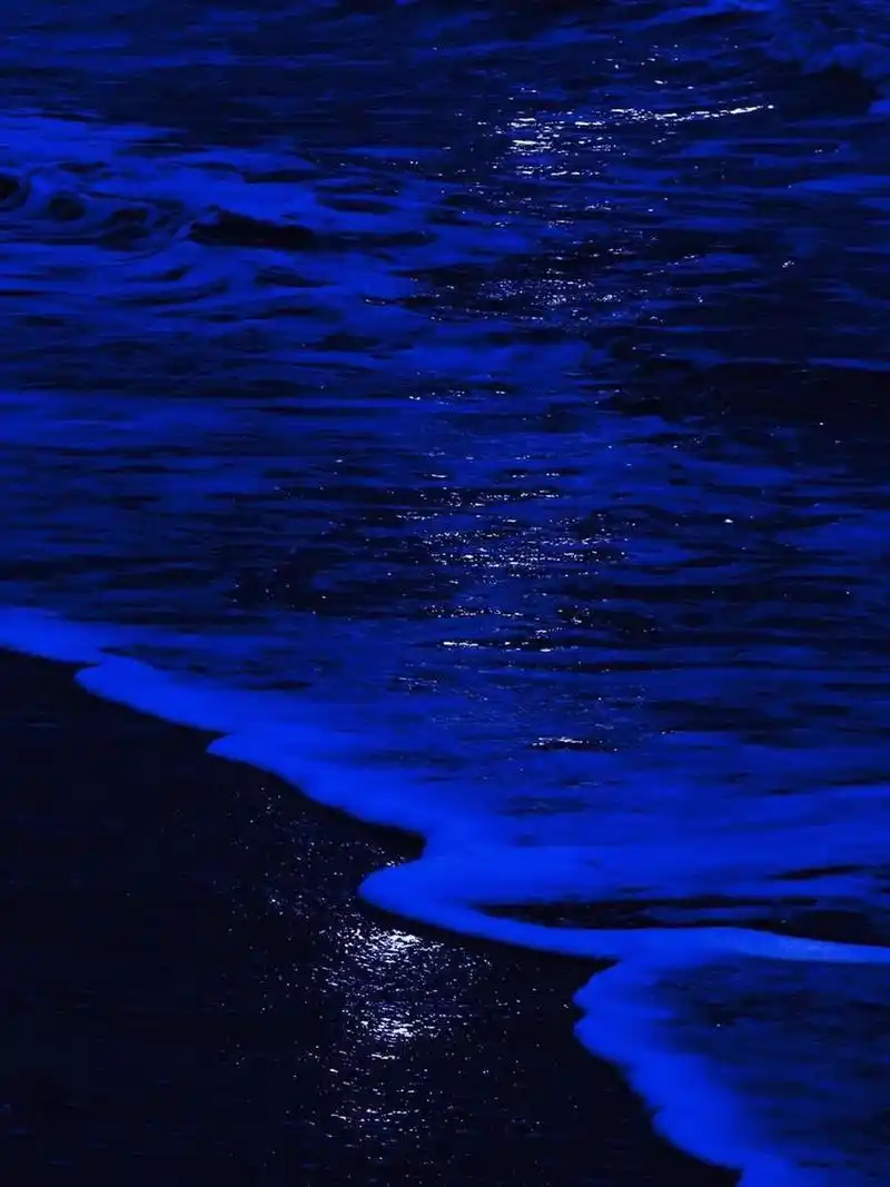 遏制食欲的壁纸 之前找过很多这种遏制食欲的蓝色壁纸 很多都不太适合