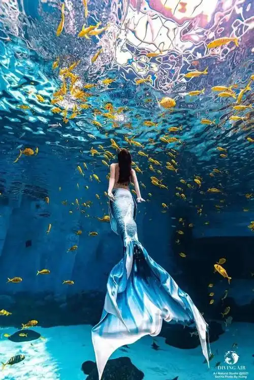 潜羽美人鱼潜水都有哪些好处|恋上"蓝色海洋"的美人鱼