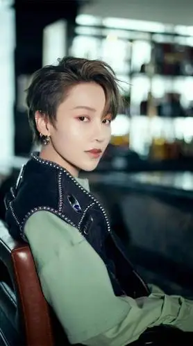 手机壁纸the9刘雨昕