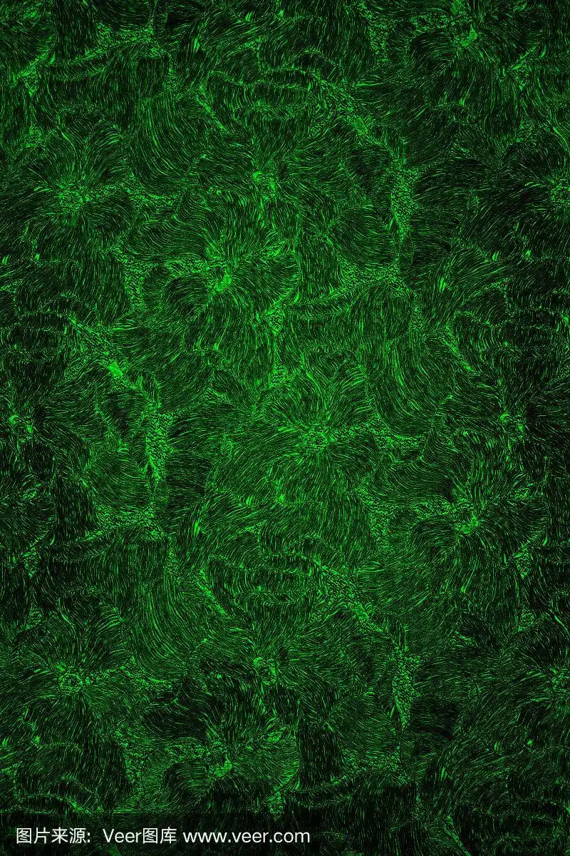 深绿色背景与花卉图案.