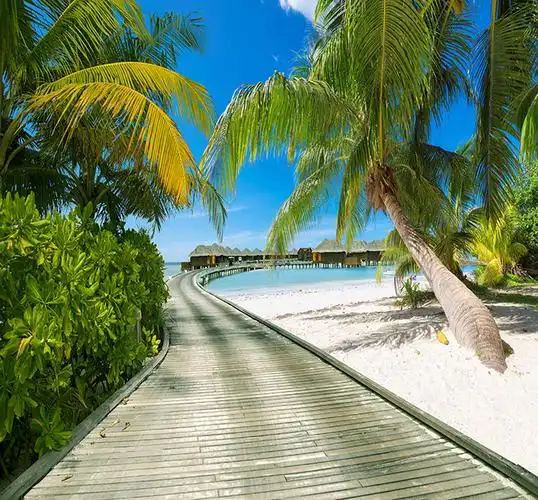 快手抖音新直播背景布立体主播墙3d山水风景沙滩海景室外风景荷花咖秋