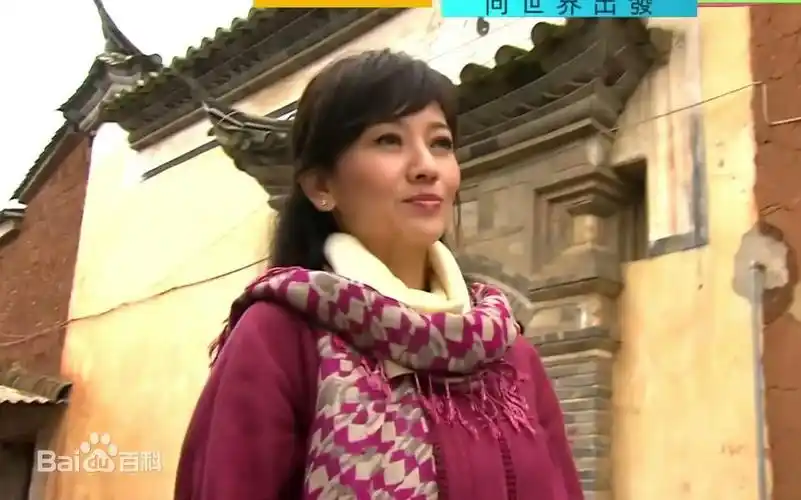 向世界出发第三季最后的裹脚村云南篇赵雅芝粤语高清