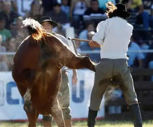 几张搞笑奇葩的图片,看着都感觉到了绝望!