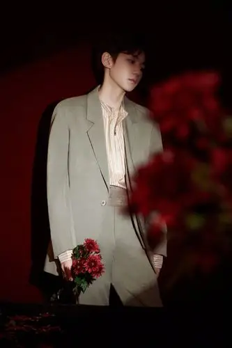 王源红花西装杀儒雅帅气图片写真
