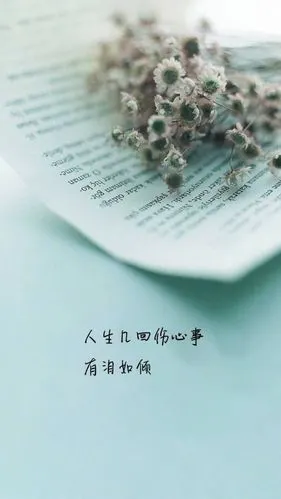 爱情唯美心情文字配图:不是所有的爱情都有始有终