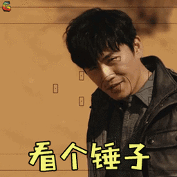 选个锤子图片_选个锤子动态图_选个锤子表情包gif动图下载_soogif