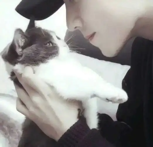 肖战部位头像-焦糖杂货铺-话本小说网