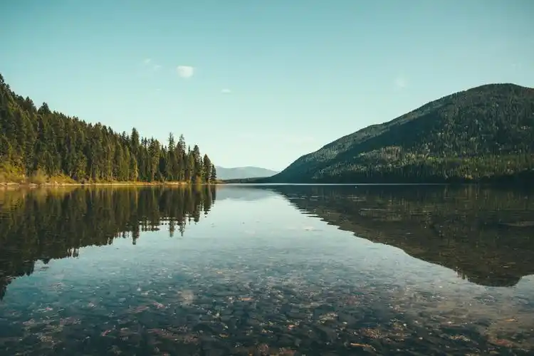 river,pine trees,pine trees,reflection,壁纸,高清壁纸自然,风景