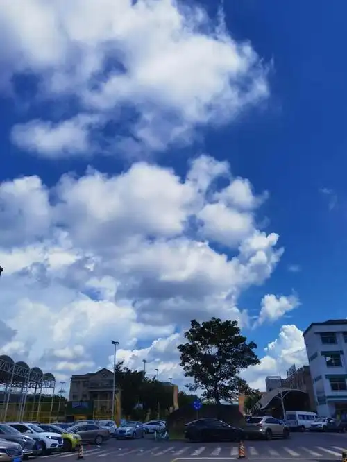 如果治愈有颜色,一定是奉贤的天空蓝,还有飘在蔚蓝色天空中像极了"