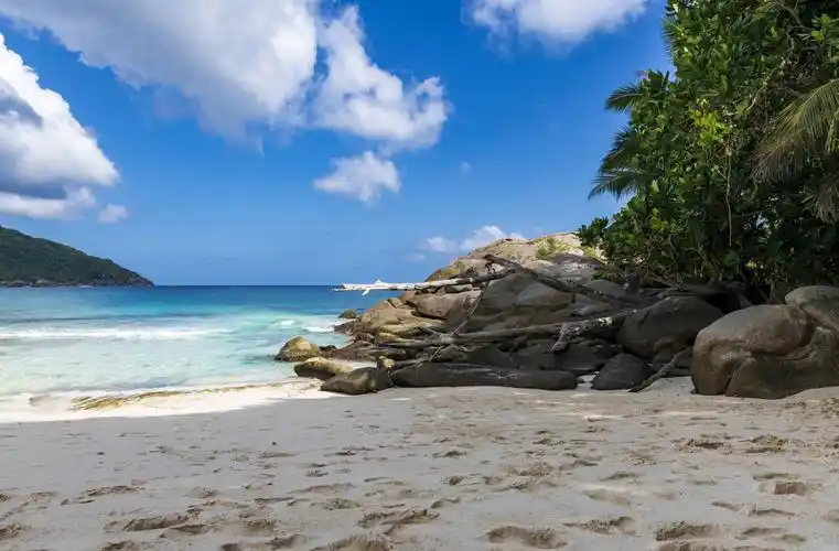 壁纸,2560x1683,热带,石,police beach seychelles,沙,海滩,大自然