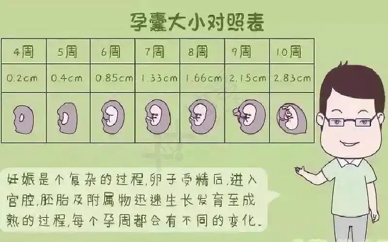 孕囊大小与孕周对照表