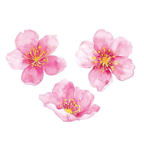 枝爷山寺桃花纹身贴粉色花朵花苞花瓣少女防水持久中国风复古国潮