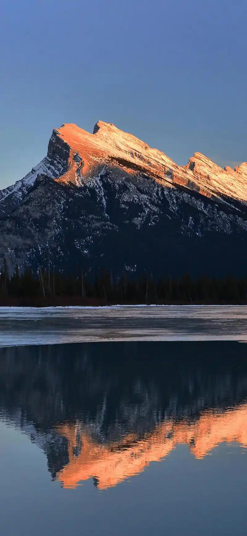 1440_3120竖版 竖屏