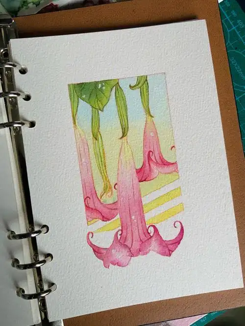 勿商用颜料:荷尔拜因纸:宝虹中粗笔:笔意轩毛笔#水彩花卉  #水彩画