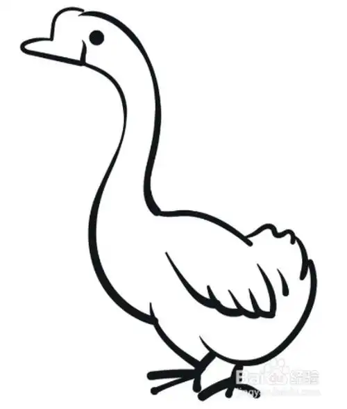 白鹅板书简笔画