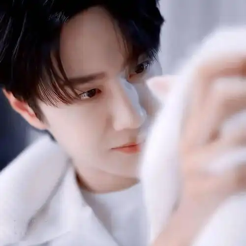 微信头像王一博