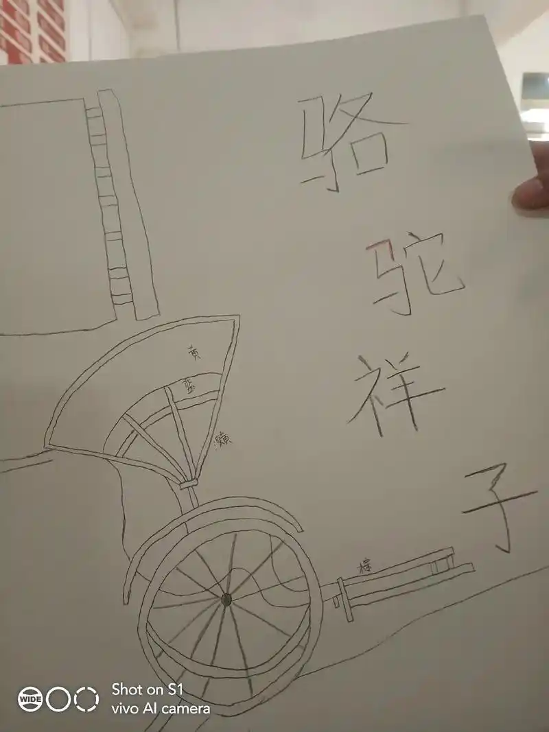 原创手绘 #《骆驼祥子》手抄报#手抄报作业 #创意手抄报制 - 抖音