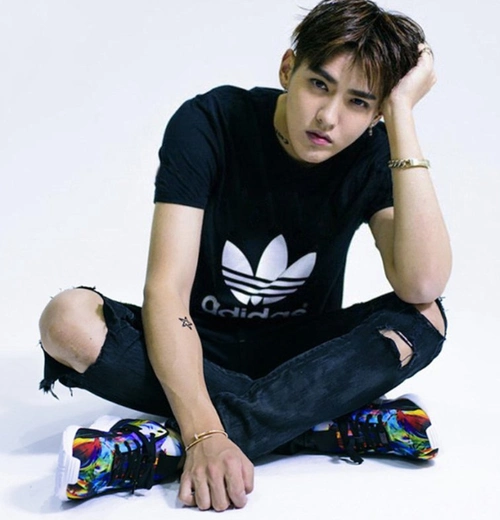 阿迪达斯吴亦凡同款短袖cw0709/cw0710