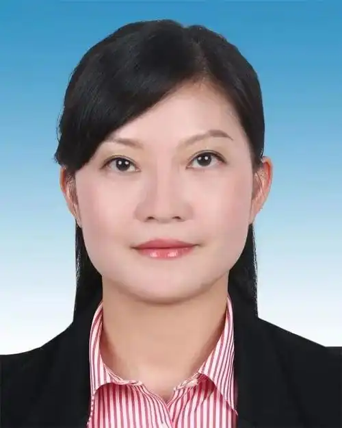 80后女正厅段颖被查30岁就已任县长