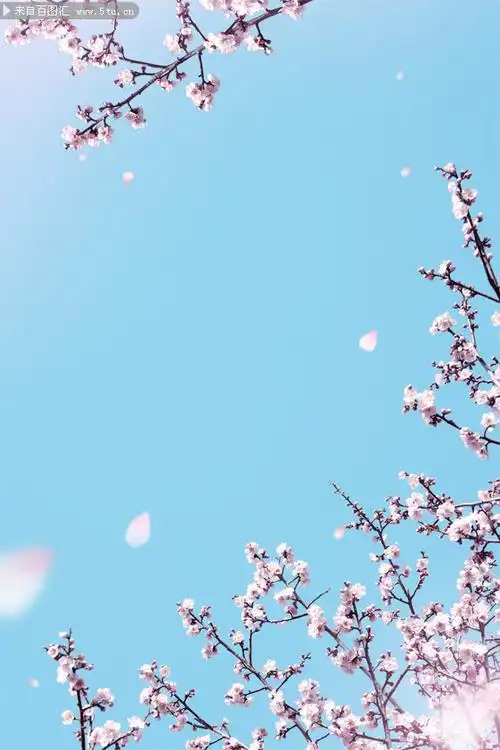 粉色桃花海报背景图片下载