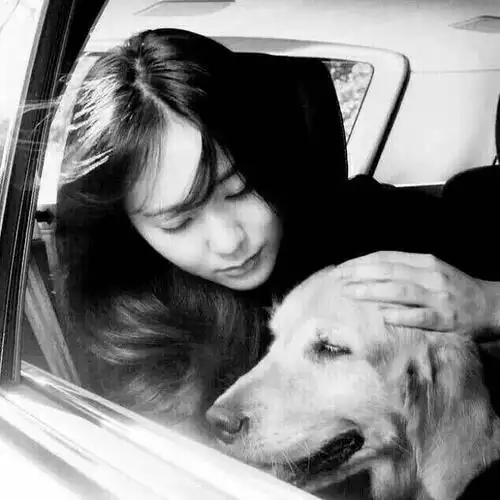 求郑秀晶的那种特别有氛围或者搞怪的头像