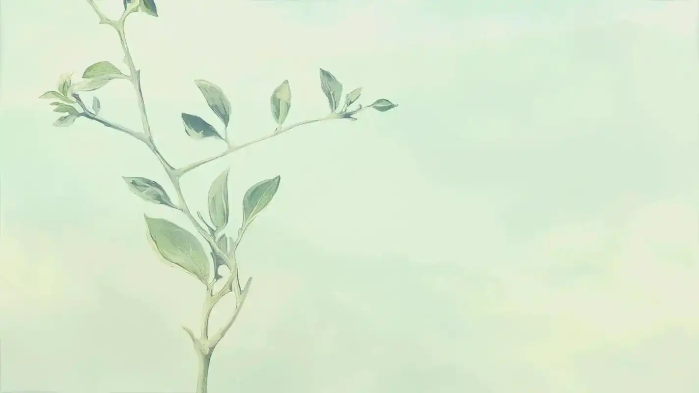 清新文艺花卉植物风景桌面电脑壁纸