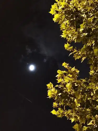 安静夜晚唯美散文1