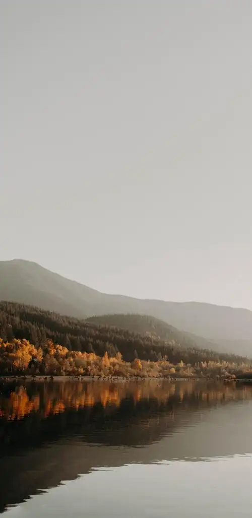 唯美的枫叶倒影,高清图片,手机壁纸