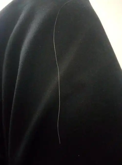 在我头上已经发现第四根白头发了