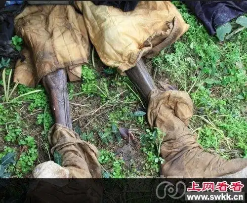 曾经震惊黑龙江的猫脸老太太到底存在吗?揭事情始末