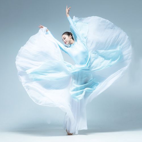 券大全—现代舞蹈服女飘逸大摆裙写真半身裙古典练功纱裙走秀演出服装