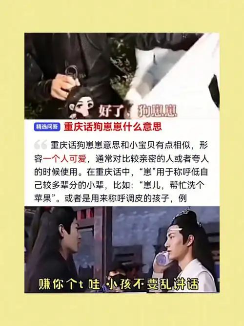 肖战王一博  #博君一肖