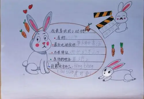 动物名片——14停课不停学语文实践活动!