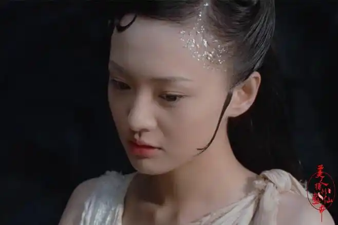 郑爽《画壁》牡丹