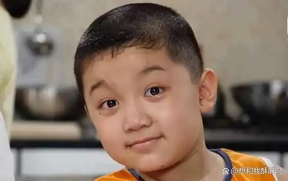 高亚麟:夏东海在《家有儿女》