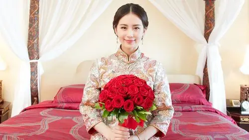 刘诗诗吴奇隆婚礼