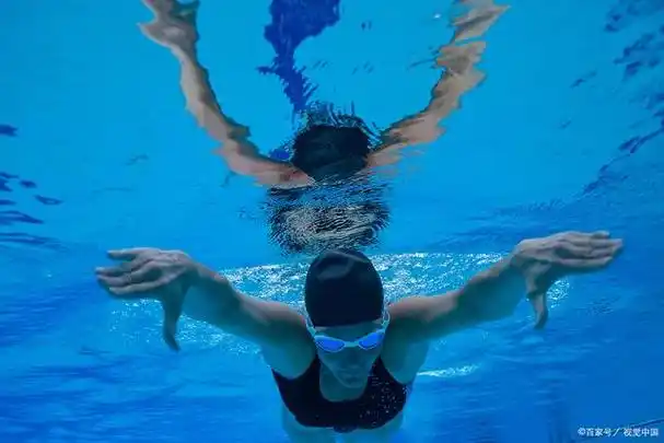 自由泳游泳的正确动作