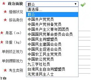 "政治面貌"有13个选择项.