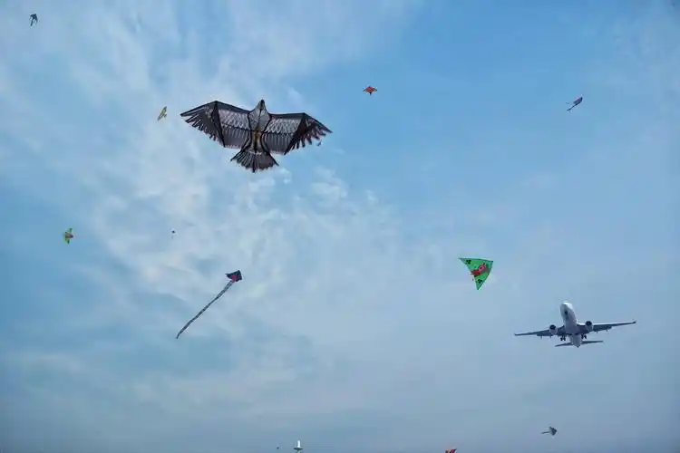 摄影虎丘湿地公园,风筝与飞机画面结合.