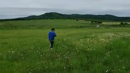 日本 北海道 知床半岛  2019.6.5.