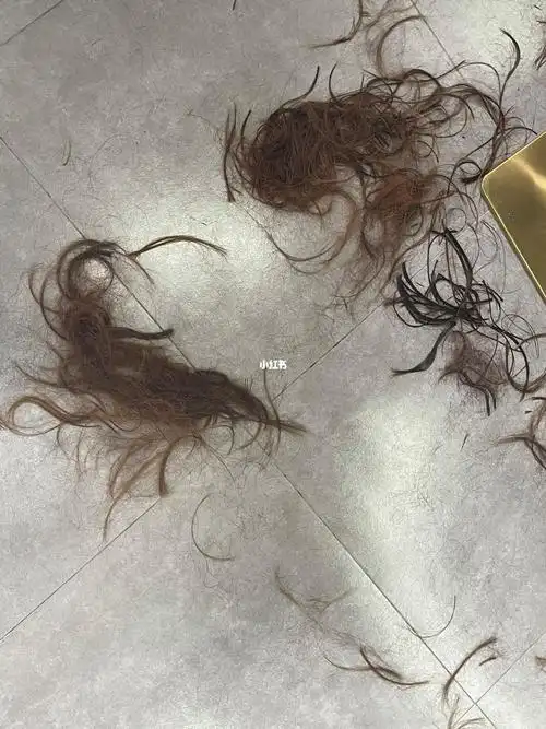 tony说你剪掉的长度是你头发生长一年的长度